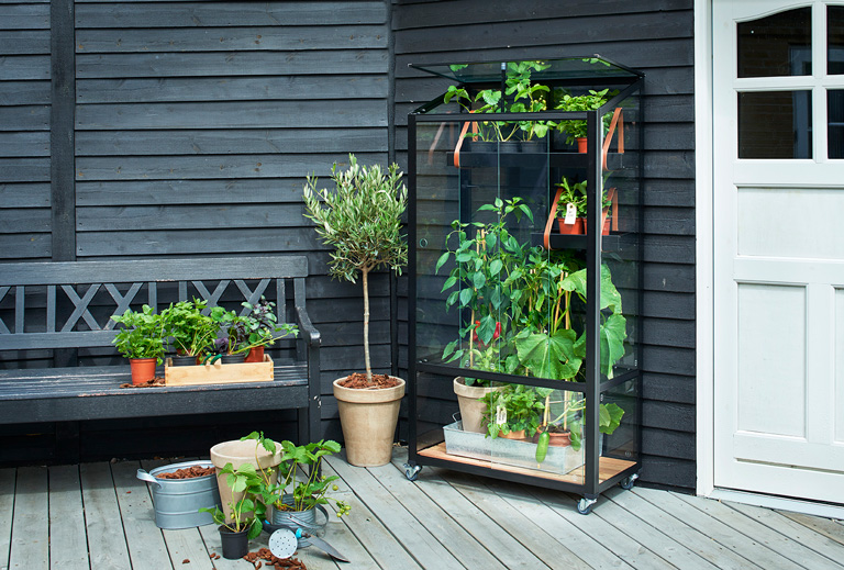 Terrassetrender-City-Greenhouse-Juliana Terrassetrender-City-Greenhouse-Juliana