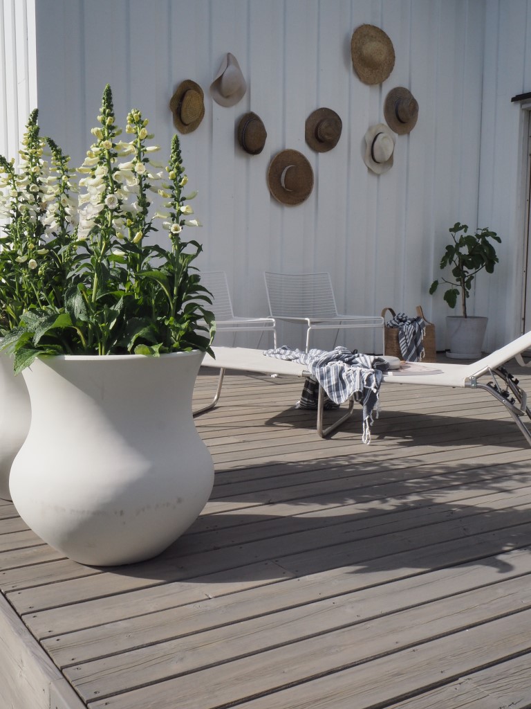 Trebitt terrassebeis 90029 Naturlig Sølvgrå_lillestrøm_krukke og solseng Trebitt terrassebeis 90029 Naturlig Sølvgrå_lillestrøm_krukke og solseng