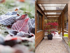 TREBITT 0652 Kastanje_ JOTUN 0175 Tjærebrun