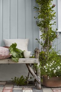 JOTUN 5556 Nordic Blue